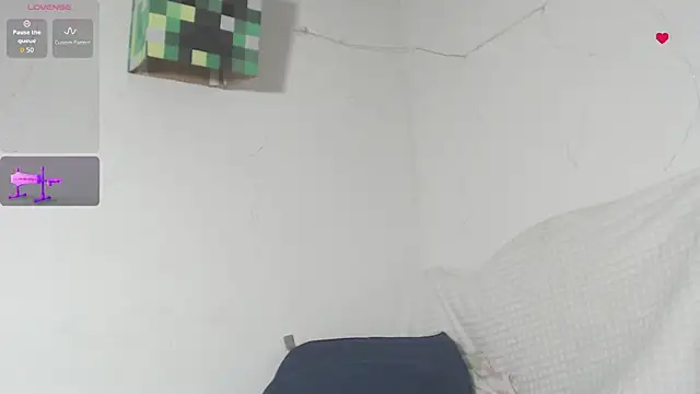 BiirdyDavis webcam