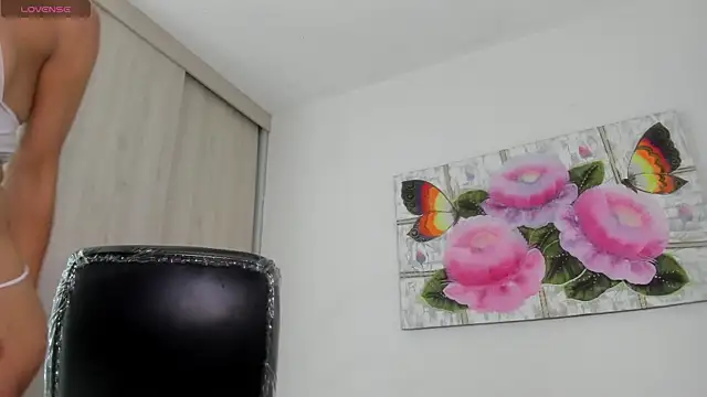 Modèle: barbie_ds