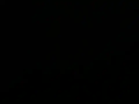 southernflair webcam
