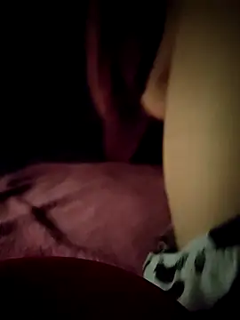 -Tara-a webcam