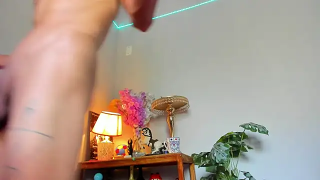 lucian_davii webcam