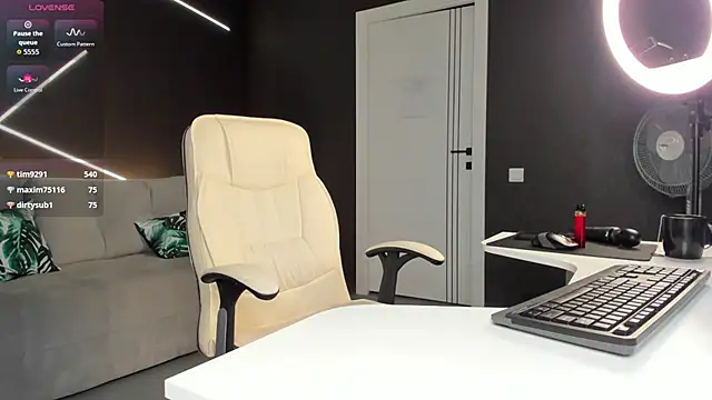 Domirelle webcam