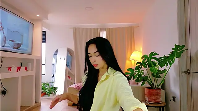 katte_D webcam