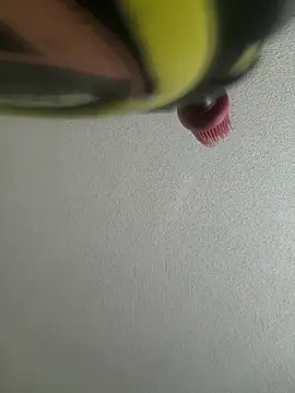 yourMasterisBored webcam