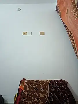 Hot_Angle webcam