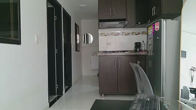 grey___27 webcam