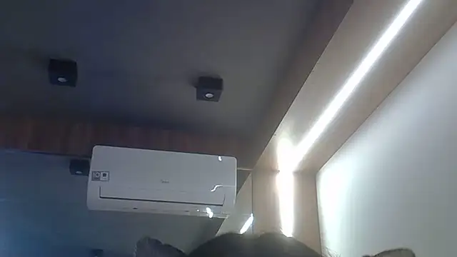 SkinnyKitten webcam