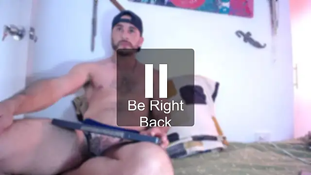 damn_fox webcam