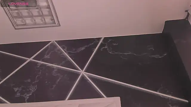 AerumChae webcam
