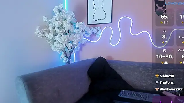 karo_linee1 webcam