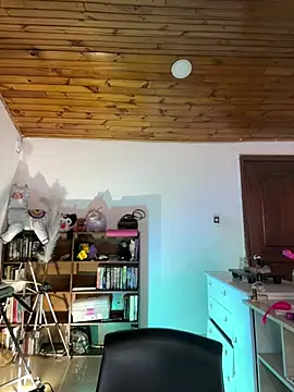 NikkiNix webcam