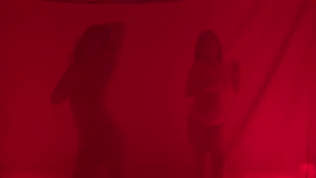 Velvet--girl webcam
