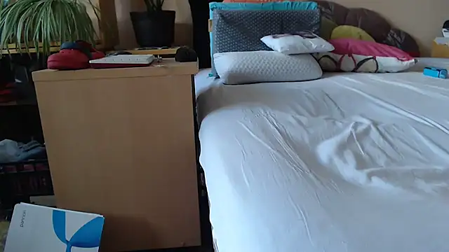 Dorina webcam