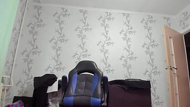 SanFrantsisko webcam