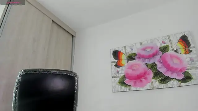 barbie_ds webcam
