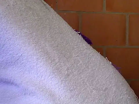 pamelasophia19 webcam