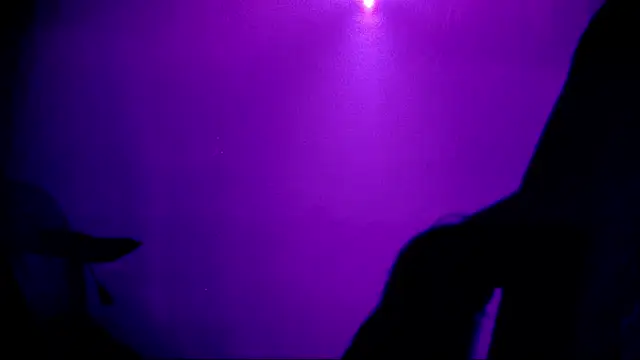MS-520 live sex cam
