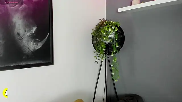 Kira_Exe_ webcam
