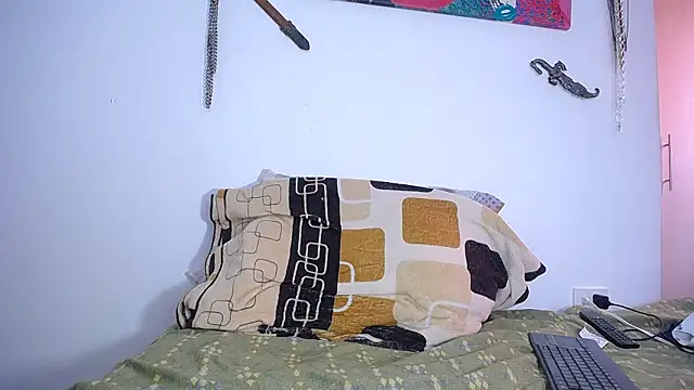 damn_fox webcam