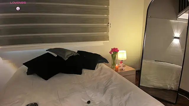 MERIDA_TAYLOR webcam
