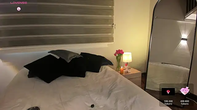 MERIDA_TAYLOR webcam