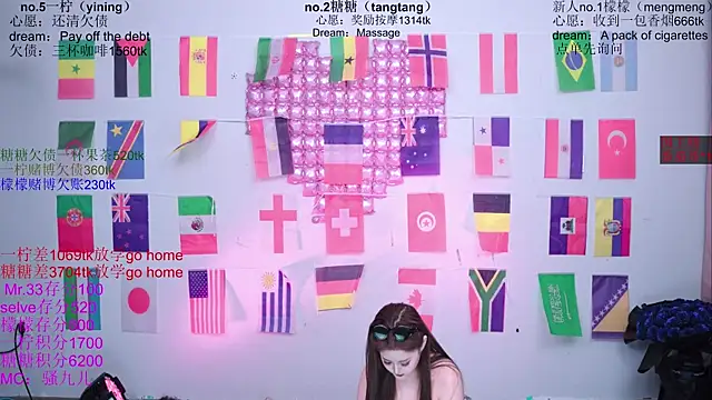CCTW-100 webcam