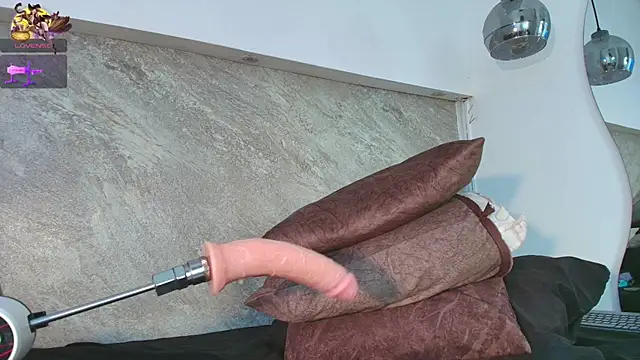 Dixie_grey1 webcam