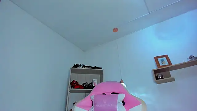 Dolce_Saeenz webcam