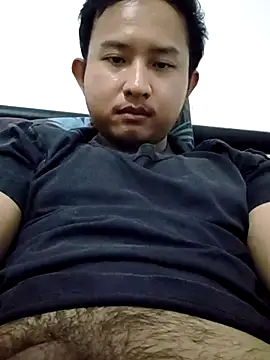 Virzcov webcam