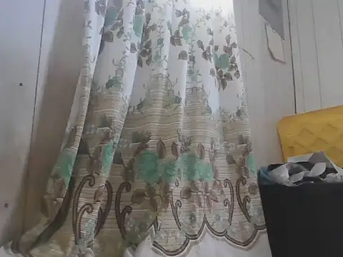 Prikev38452 webcam