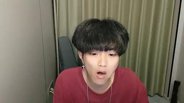wssoo11 webcam