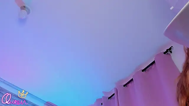 AuroraSim webcam
