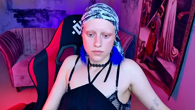 LidaDarknet webcam