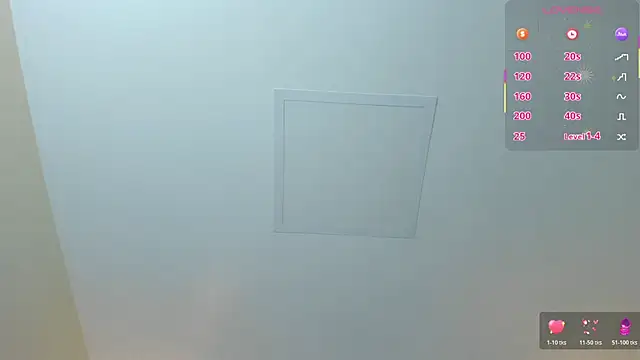 MAGIEVANS1 webcam