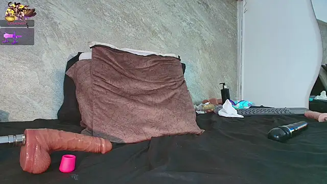 Dixie_grey1 webcam