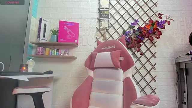SALOME_KORLAND webcam