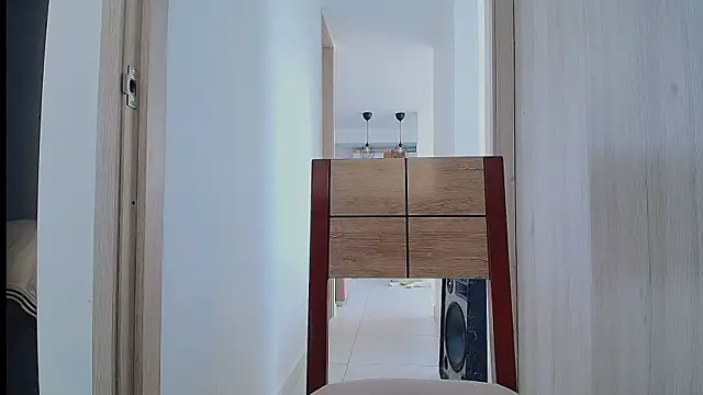 thomas_gun webcam