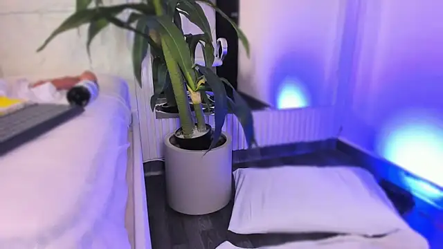 CristalCollins_ webcam