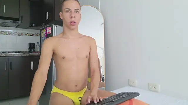grey___27 webcam