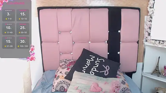 palmer_mIix webcam