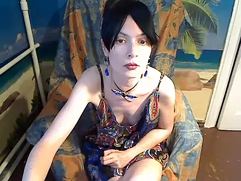 Bastet12 webcam