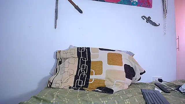 damn_fox webcam