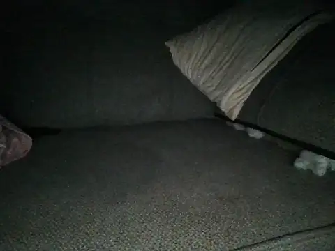 Dizzydose webcam