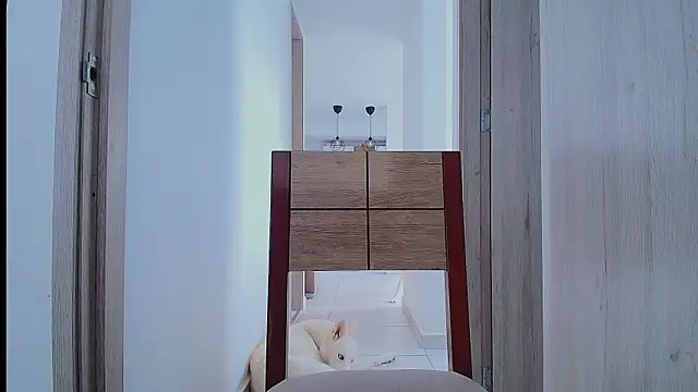 thomas_gun webcam