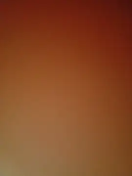 Mini_ara webcam