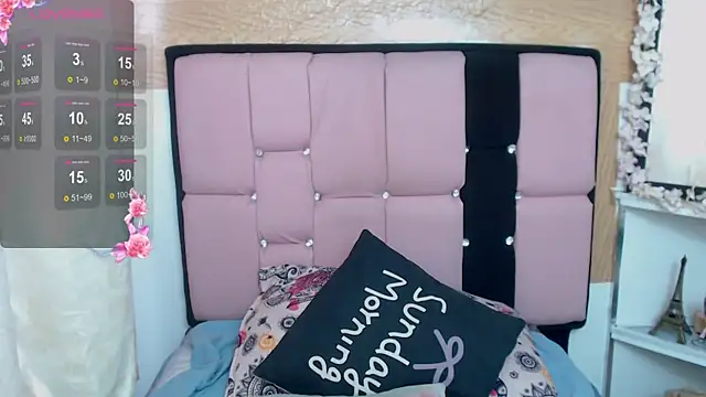 palmer_mIix webcam