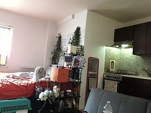 littyleesh1 webcam