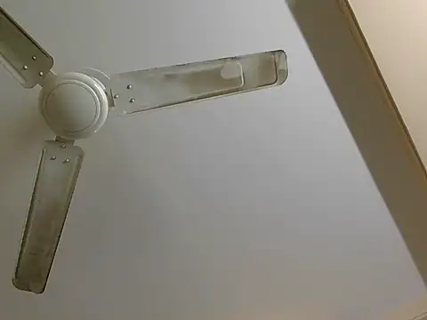 Any_89 live sex cam