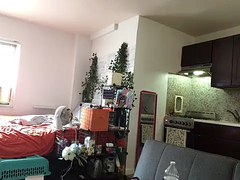 littyleesh1 webcam