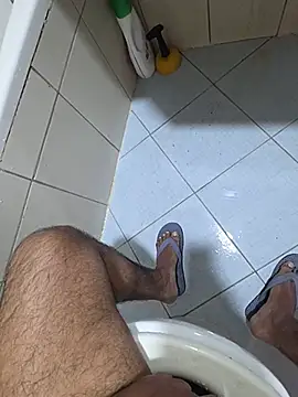 dream_catcher webcam
